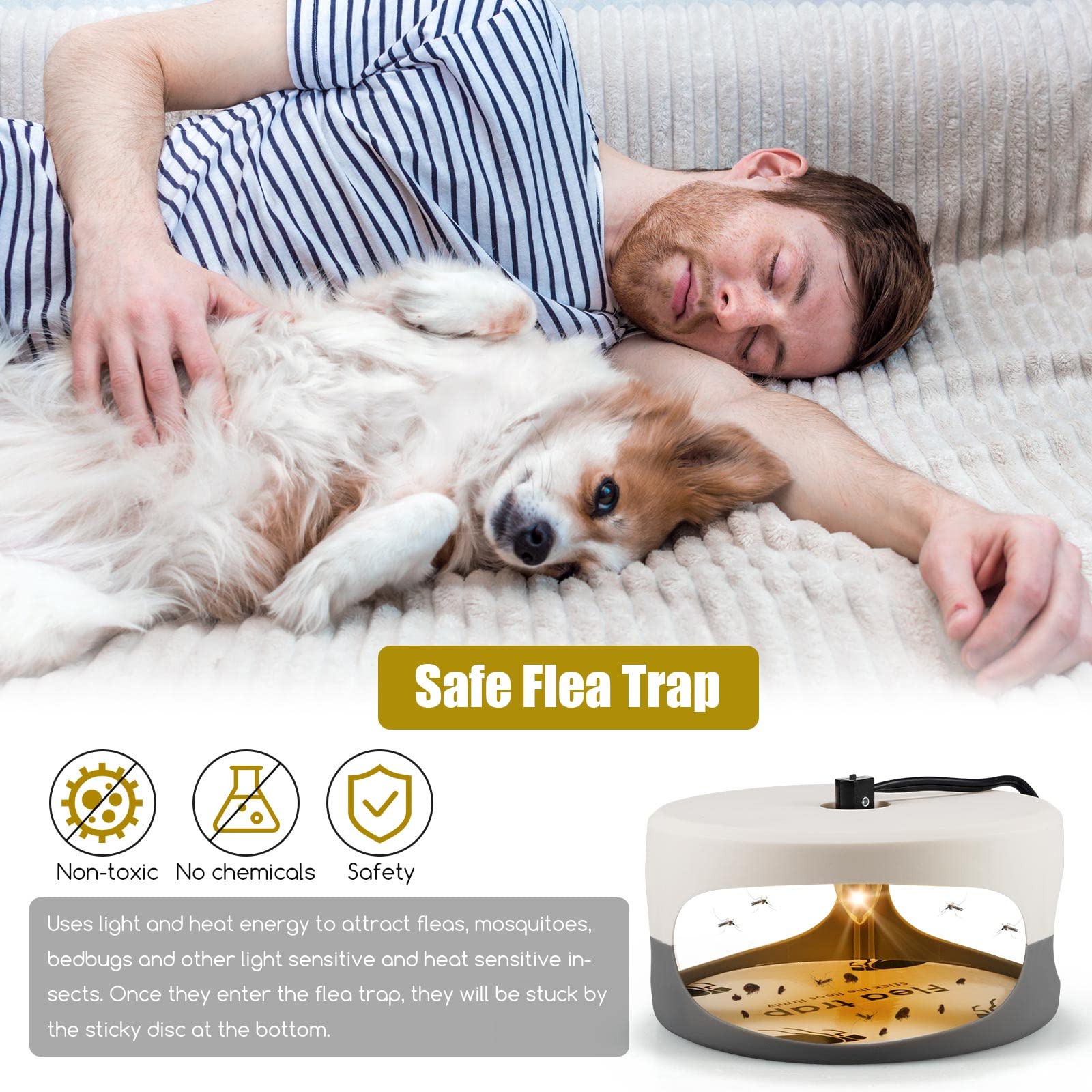 2 Pack Flea Traps for Inside Your Home with 4 Sticky Disc & 6 Bulbs & 2 Electric Wires, Flea Killer Indoor Bed Bug Trap Pest Control, Non Toxic & Harmless, Friendly to Pets & Kids