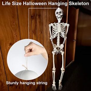 Halloween Skeleton Decorations - 5.5FT Life Size Skeleton Decoration Realistic Pose-n-Stay Human Skeleton with LED Glowing Eyes - Motion Sensor Hanging Props Creepy Sound for Halloween Decorations