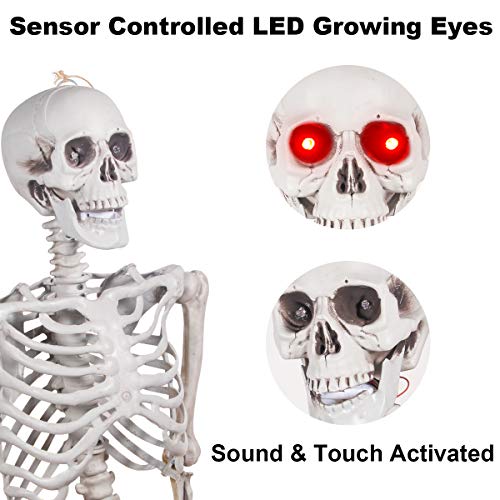 Halloween Skeleton Decorations - 5.5FT Life Size Skeleton Decoration Realistic Pose-n-Stay Human Skeleton with LED Glowing Eyes - Motion Sensor Hanging Props Creepy Sound for Halloween Decorations
