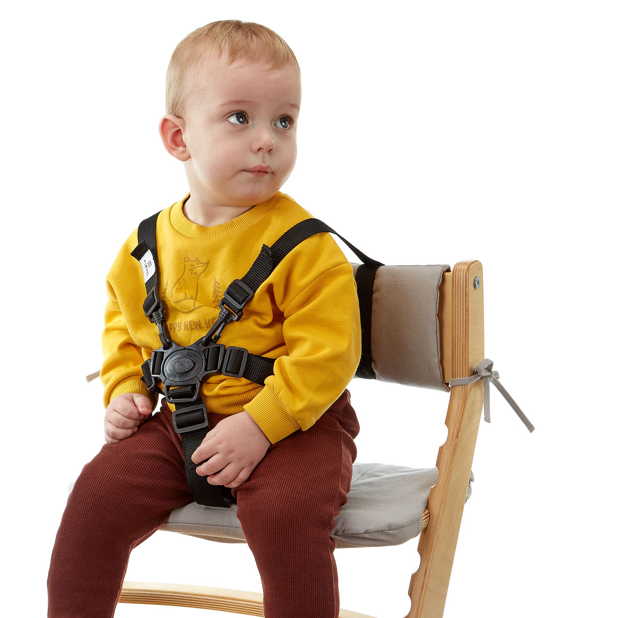 Fornel High Chair Straps, 5 Point Harness Strap for Adjustable Wooden Highchair for Toddlers