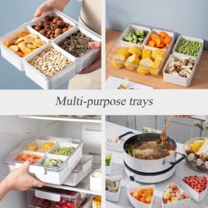 TOKLYUIE Veggie Tray with Lid Reusable Large Divided Serving Snack Tray with Lid Fruit Platter Vegetable Tray Food Storage Container with 4 Compartments