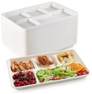 [500 pack] 5 compartment trays, 100% compostable paper plate tray, school bagasse lunch trays, buffet, and party, disposable trays with 5 compartment, biodegradable, natural (4821011)