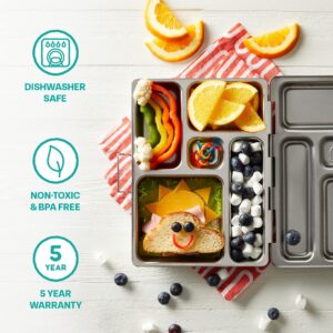 PlanetBox Rover Stainless Steel Bento Lunch Box with 5 Compartments for Adults and Kids, Sharks Carry Bag and Magnets