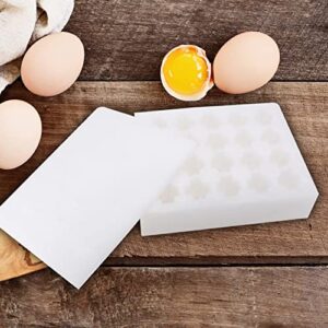 Mobestech Foam Egg Cartons 2pcs Proof Crate Storage Storing Dampening Holder for Pe Padding Container Containers Practical Fixing Fixator Egg No Sound Grids Foam Resistant Kitchen Cushion