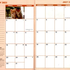 Paper Craft Kittens 2023 - 2024 2 Year Pocket Planner / Inspirations Calendar / Organizer - Monthly Page Format, multi