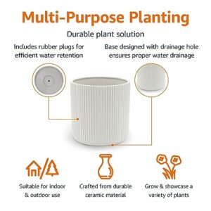 Amazon Basics Fluted Ceramic Round Planter, 10-Inch, White