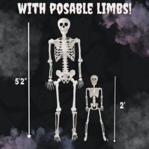 Posable Life Size Human Skeleton Family Set of 4-2 Adult (5' 2")& 2 Children (2')-Halloween Prop Indoor Outdoor Decorations w Bending Articulated Bones- Spooky Haunted House Party Lawn Décor