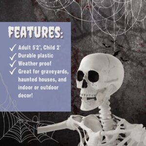 Posable Life Size Human Skeleton Family Set of 4-2 Adult (5' 2")& 2 Children (2')-Halloween Prop Indoor Outdoor Decorations w Bending Articulated Bones- Spooky Haunted House Party Lawn Décor