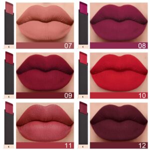 evpct DNM 6Pcs Dark Ruby Red Mauve Plum Purple Nude Beige Matte 24 Hour Lipstick Set for Women Waterproof Long Lasting 24 Hours Lipstick