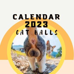 cat butts 2023 for cat lovers - funny cats calendar, kitten butt calendar 2023 monthly wall hanging calendars cute funny dog breed tail butts pet has 12 month write on planner