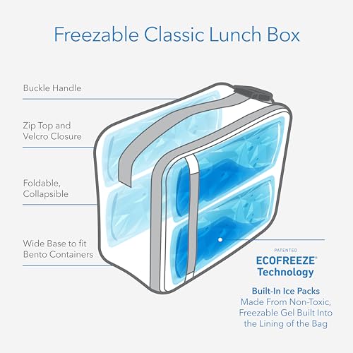 PackIt Freezable Lunch Box, Dino Fossils Neon, Built with EcoFreeze Technology, Collapsible, Reusable, Zip Closure, Perferct for Fresh Meals On the Go