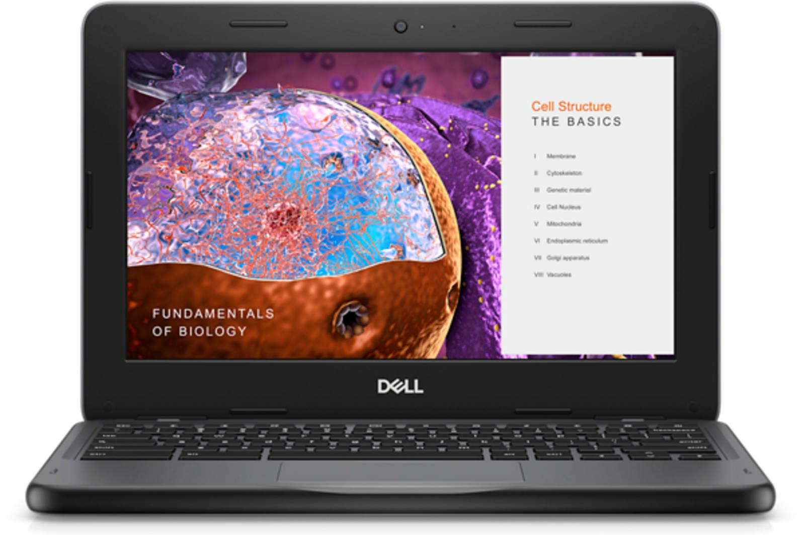 Dell Chromebook 11 3110 Laptop (2022) | 11" HD Touch | Core Celeron - 32GB SSD - 4GB RAM | 2 Cores Chrome OS (Renewed)