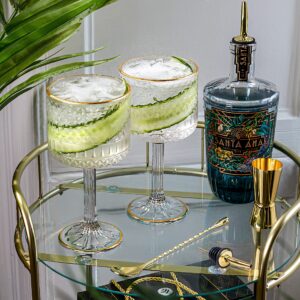 Vemacity Luxury Gin Glasses Set of 2 w/Gold Rims| Gold Spoon, Spirit Measure, Spirit Pourer & Recipe e-Book| Crystal Gin Glass Gift Set| Aperol Spritz Glasses| Cocktail Glasses| Gin Glasses for Women