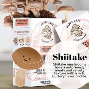 Grow Your Own Organic Mushroom Kit - Shiitake - Indoor Growing Kit by Happy Caps Mushroom Farm