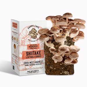 Grow Your Own Organic Mushroom Kit - Shiitake - Indoor Growing Kit by Happy Caps Mushroom Farm