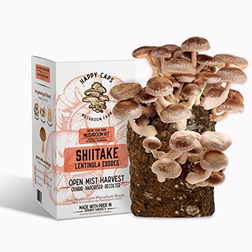 Grow Your Own Organic Mushroom Kit - Shiitake - Indoor Growing Kit by Happy Caps Mushroom Farm