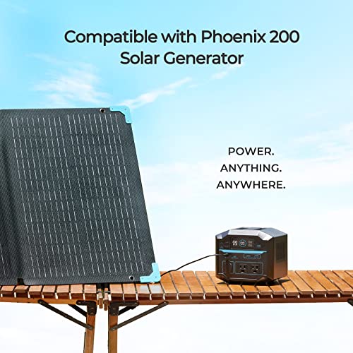 Renogy 10Ft 16AWG Solar Connector to 5.5x2.1mm DC Adapter Cable, Connect EFLEX 80 to Phoenix G2