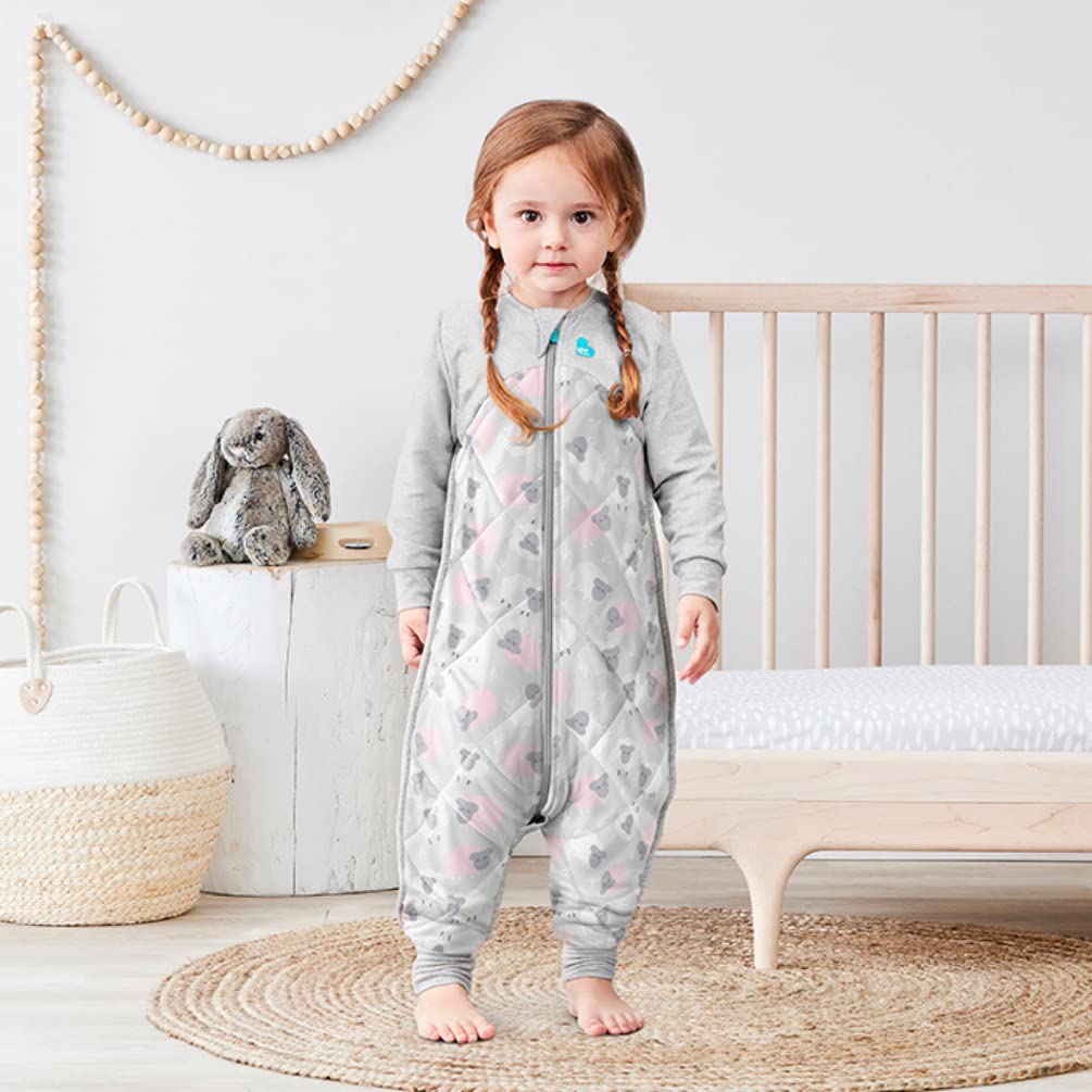 Love to Dream Organic Merino Wool Warm Baby Sleep Suit (12-24 Mo), Super Soft Temp Regulating Sleeping Sack, 2.5TOG Warm Wearable Blanket, Pink