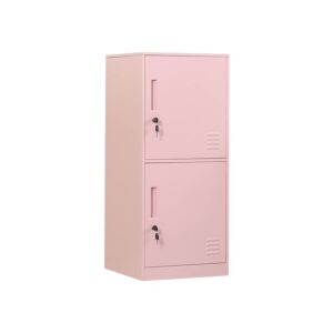 DAYTOYS 2 Door Metal Vertical Storage Locker for Kids Bedroom, Children Room, School, Office, Home,Stackable Steel Storage Cabinet for Toys, Sports Equipment,Anti-Falling Device. (2D, Pink)