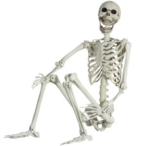 5.4ft/165cm posable halloween skeleton, full body life size skeleton with movable joints for indoor outdoor halloween decorations, spooky party props decor