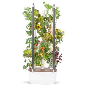 gardyn 3.0 hydroponics growing system & vertical garden planter - includes 30 non-gmo indoor plants, herbs & vegetables for your home indoor gardening system | next generation of indoor smart gardens