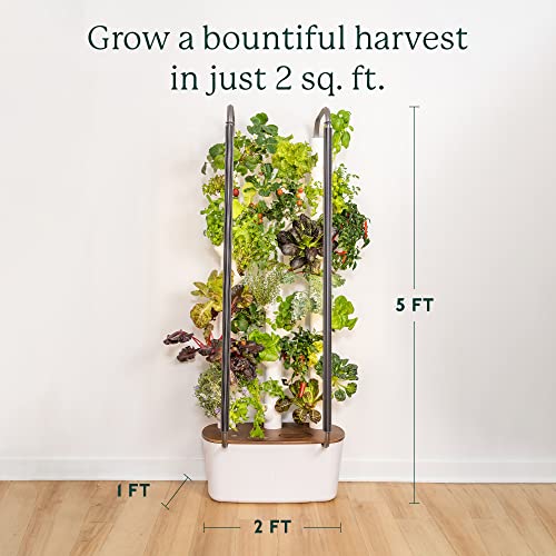 Gardyn 3.0 Hydroponics Growing System & Vertical Garden Planter - Includes 30 Non-GMO Indoor Plants, Herbs & Vegetables for Your Home Indoor Gardening System | Next Generation of Indoor Smart Gardens