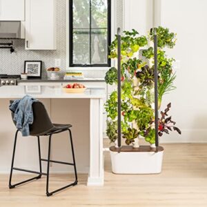 Gardyn 3.0 Hydroponics Growing System & Vertical Garden Planter - Includes 30 Non-GMO Indoor Plants, Herbs & Vegetables for Your Home Indoor Gardening System | Next Generation of Indoor Smart Gardens