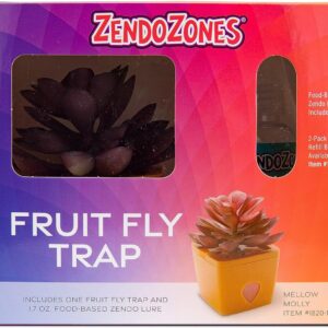 ZendoZones Fruit Fly Trap with Zendo Lure, Joyful Janet with Plastic Terra Cotta Colored Base, Refillable and Reusable