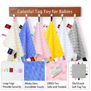 Baby Tag Security Blankets for Babies, Sensory Soothing Taggy Blankets for 3-12 Months Baby, Soft Minky Dots Baby Comforter Blanket, Small Lovey Toys with Tags for Girls and Boys (White)