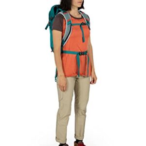 Osprey Hikelite 18L Unisex Hiking Backpack, Escapade Green