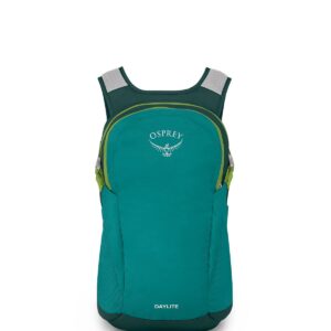 Osprey Daylite Commuter Backpack, Escapade Green/Baikal Green