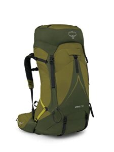 osprey atmos ag lt 50l men's backpacking backpack, scenic valley/green peppercorn, l/xl