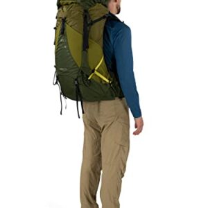 Osprey Atmos AG LT 50L Men's Backpacking Backpack, Scenic Valley/Green Peppercorn, L/XL