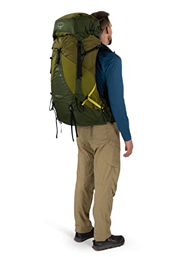 Osprey Atmos AG LT 50L Men's Backpacking Backpack, Scenic Valley/Green Peppercorn, L/XL