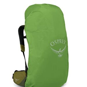 Osprey Atmos AG LT 50L Men's Backpacking Backpack, Scenic Valley/Green Peppercorn, L/XL