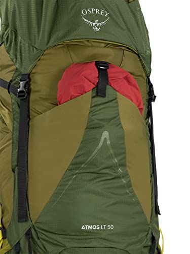 Osprey Atmos AG LT 50L Men's Backpacking Backpack, Scenic Valley/Green Peppercorn, L/XL