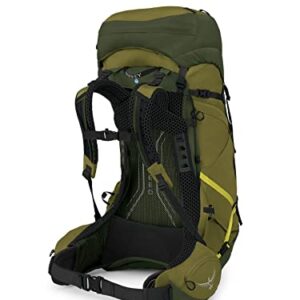 Osprey Atmos AG LT 50L Men's Backpacking Backpack, Scenic Valley/Green Peppercorn, L/XL