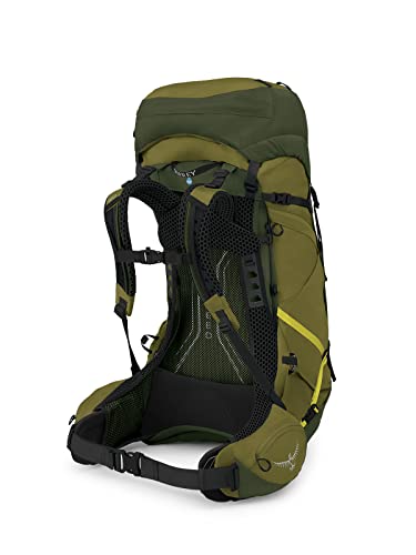 Osprey Atmos AG LT 50L Men's Backpacking Backpack, Scenic Valley/Green Peppercorn, L/XL