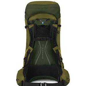 Osprey Atmos AG LT 50L Men's Backpacking Backpack, Scenic Valley/Green Peppercorn, L/XL