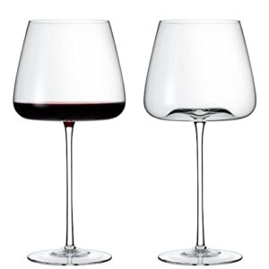 wine enthusiast fleur pinot noir wine glass – hand blown wide bowl glassware with long stem for red wine tastings (set of 2)