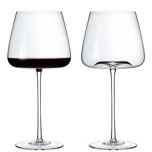 Wine Enthusiast Fleur Pinot Noir Wine Glass – Hand Blown Wide Bowl Glassware with Long Stem for Red Wine Tastings (Set of 2)