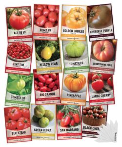 gardeners basics, tomato seeds for planting 16 variety pack heirloom tomato seeds, tiny tim, cherry tomato seeds, beefsteak seeds, roma tomato seeds, determinate and indeterminate and more, non gmo