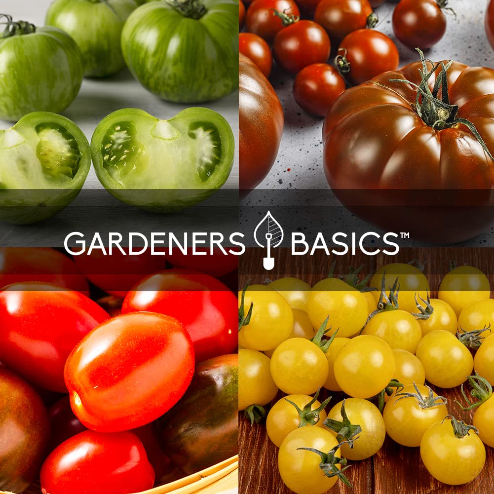 Gardeners Basics, Tomato Seeds for Planting 16 Variety Pack Heirloom Tomato Seeds, Tiny Tim, Cherry Tomato Seeds, Beefsteak Seeds, Roma Tomato Seeds, Determinate and Indeterminate and More, Non GMO