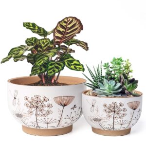 ybx 8 inch + 6 inch white&terracotta flower pots, succulent ceramic plant pots with drainage holes, terracotta planters for indoor plants