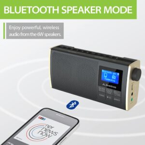 Streaming Radio to Bluetooth Earbuds or Home Stereo System, FM Radio, Bluetooth Transmitter, Bluetooth Speaker, SD Card MP3 Player 4-in-1 Device with Rechargeable Battery - Avantree Soundbyte T