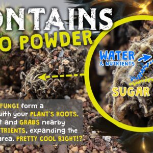 High Drainage Cactus Soil Potting Mix with Mycorrhizal Fungi - 8 Pounds / 4 Quarts of Soil for Succulents and Cactus - Slightly Acidic, Gritty Soil for Healthy Indoor Plants - Spike & Bloom