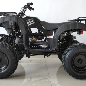 200cc ATV Quad Youth ATVs Big Size Adult Quad Fully Automatic with Reverse 4 Wheeler Model CRT 200-1 (Bold Blue Color)