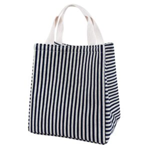 daixers lunch bag insulated lunch box for women men,reusable adult lunch tote bags for work or travel (striped blue)