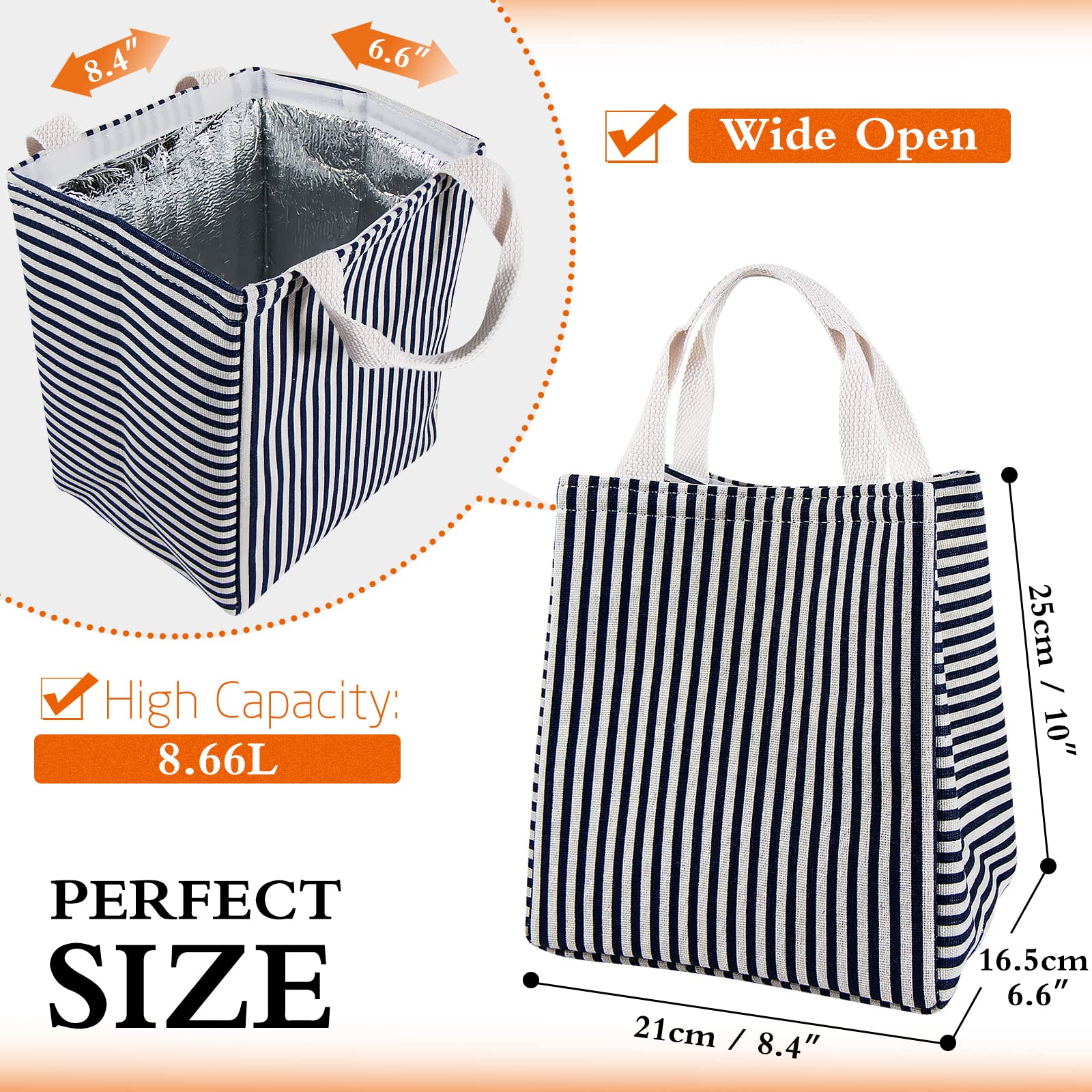Daixers Lunch Bag Insulated Lunch Box for Women Men,Reusable Adult Lunch Tote Bags for Work or Travel (Striped Blue)