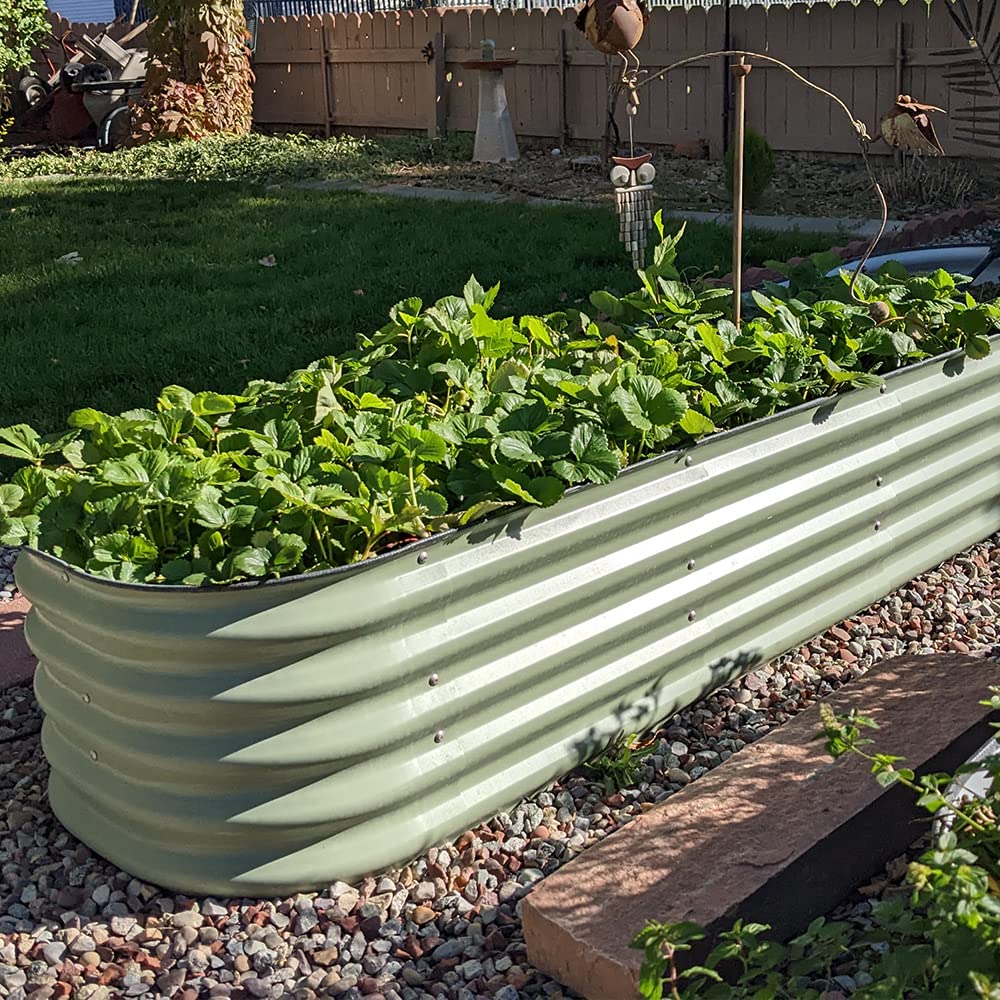 VEGEGA. 8ft X 2ft X 1.4ft Raised Garden Bed Kit, Large Zinc-Aluminum-Magnesium Coated Steel Metal Planter Box, for Planting Outdoor Plants Vegetables, Green
